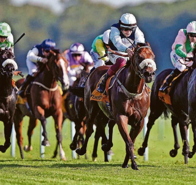 Cotai Belle can grab victory in Super Sprint at Newbury