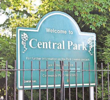 MUM'S WARNING AFTER FIREWORK TERROR ON SCHOOL RUN