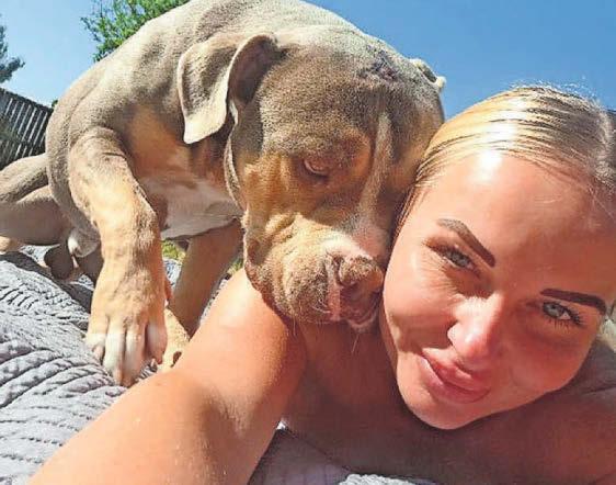 £1,400 fine for mum's illegal pet boarding service