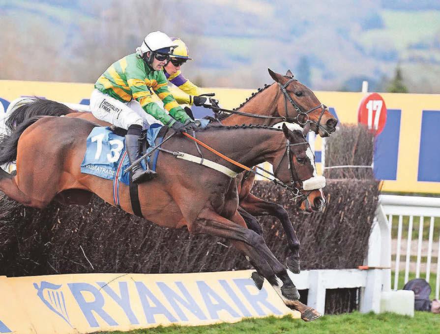 Jagwar can strike Gold in Paddy Power at Cheltenham