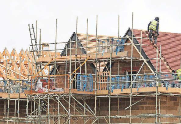 Nature and housing targets at risk of being missed - report