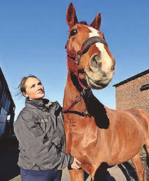 EQUESTRIAN SERVICES BUSINESS BATTLES TO KEEP ITS BASE AFTER EVICTION NOTICE