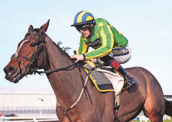 Torn and Frayed can pick up pieces at Cheltenham