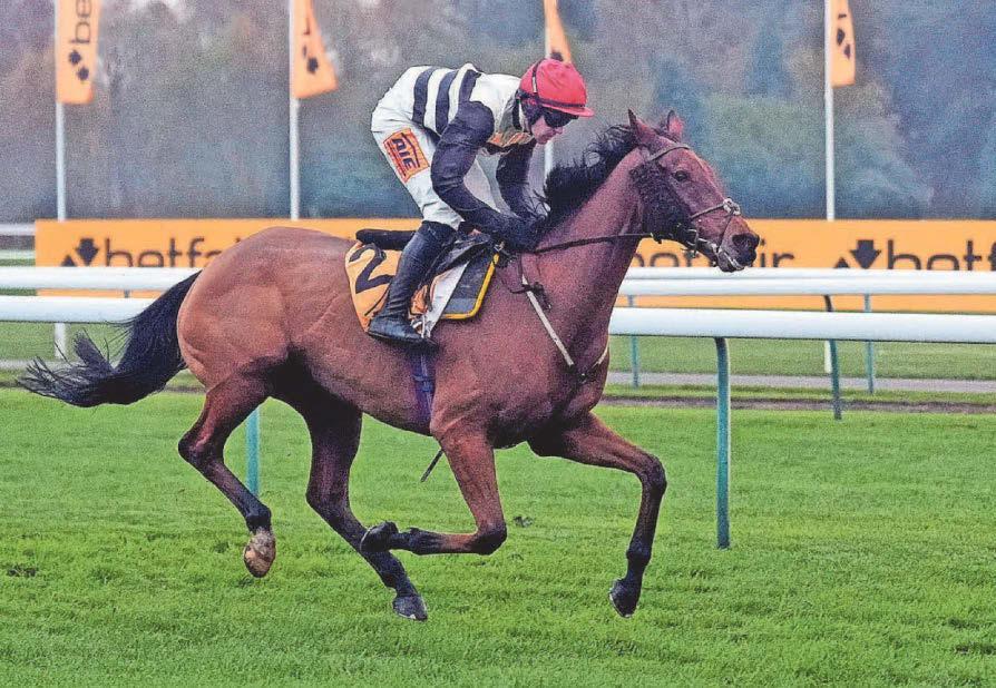 Top fits the Bill to win the Tommy Whittle Chase