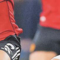 Nobody better than Mikel Arteta? Limpar reckons Moyes is...