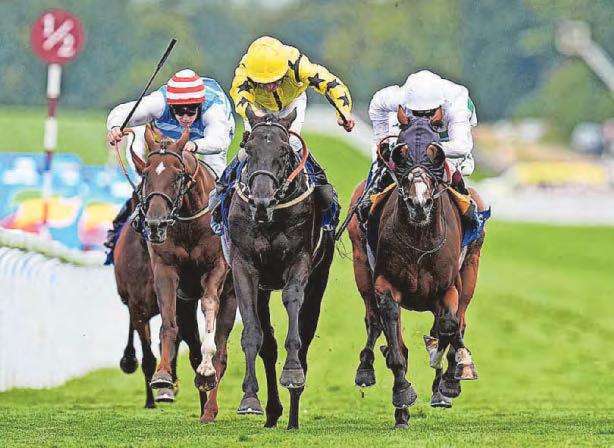 Stars look to be aligned at Musselburgh