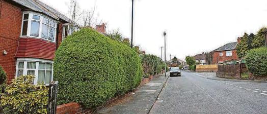 Hit-and-run horror on 'lethal' local road