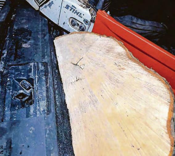 Sycamore Gap accused said he was 'raging' at being framed