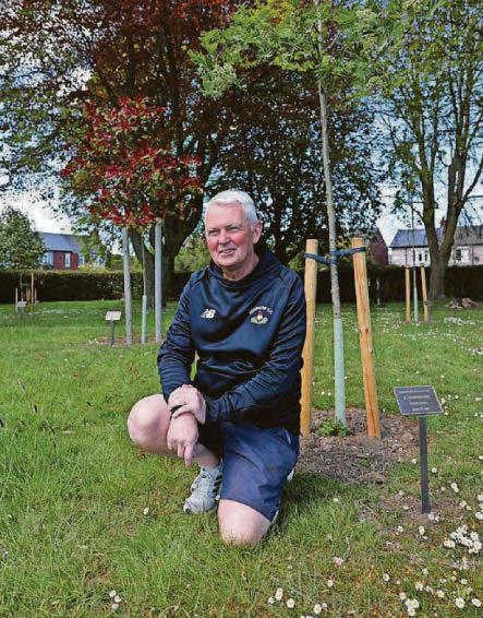 Tree tribute to war heroes
