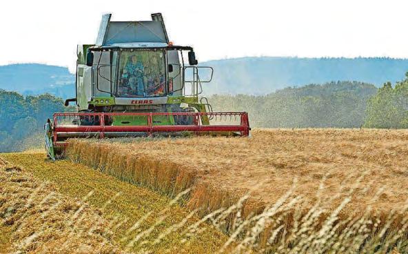 Calls for government to boost nature stewardship on farms