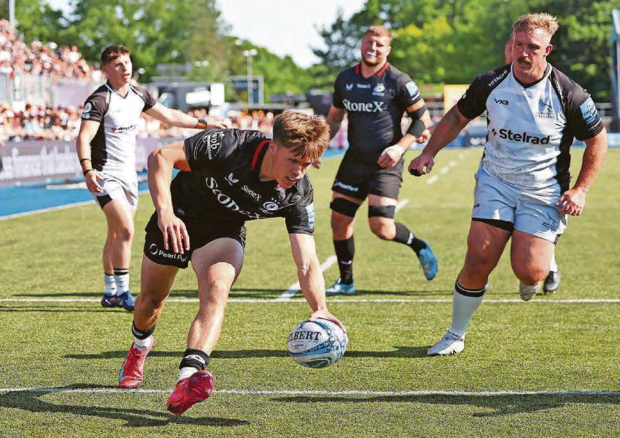 Red-faced Falcons in dire need of investment