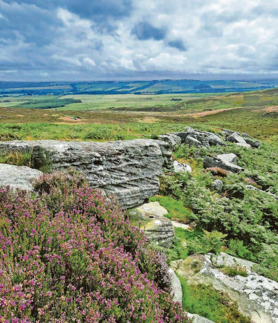 Major milestone in bid to buy the Rothbury Estate