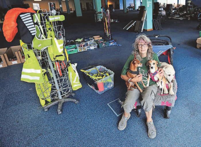 Dog rescue aid charity 'praying for a miracle'