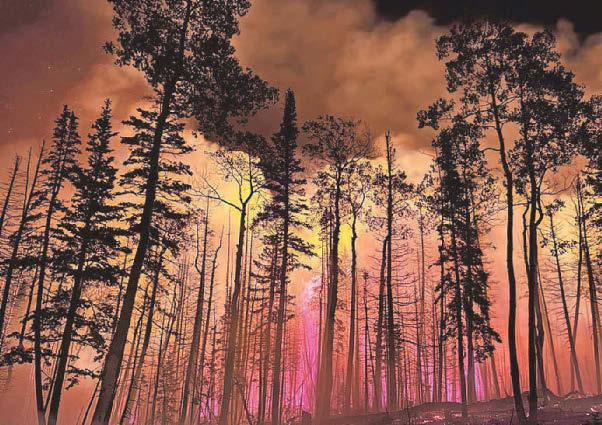 Wildfires spark 'fire clouds'