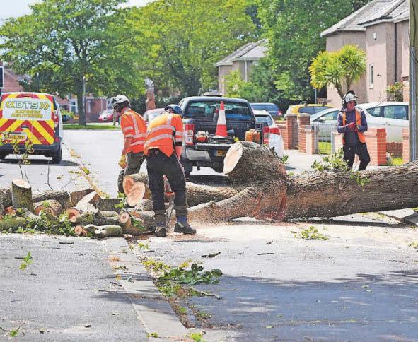 Powerful storm rips through the region