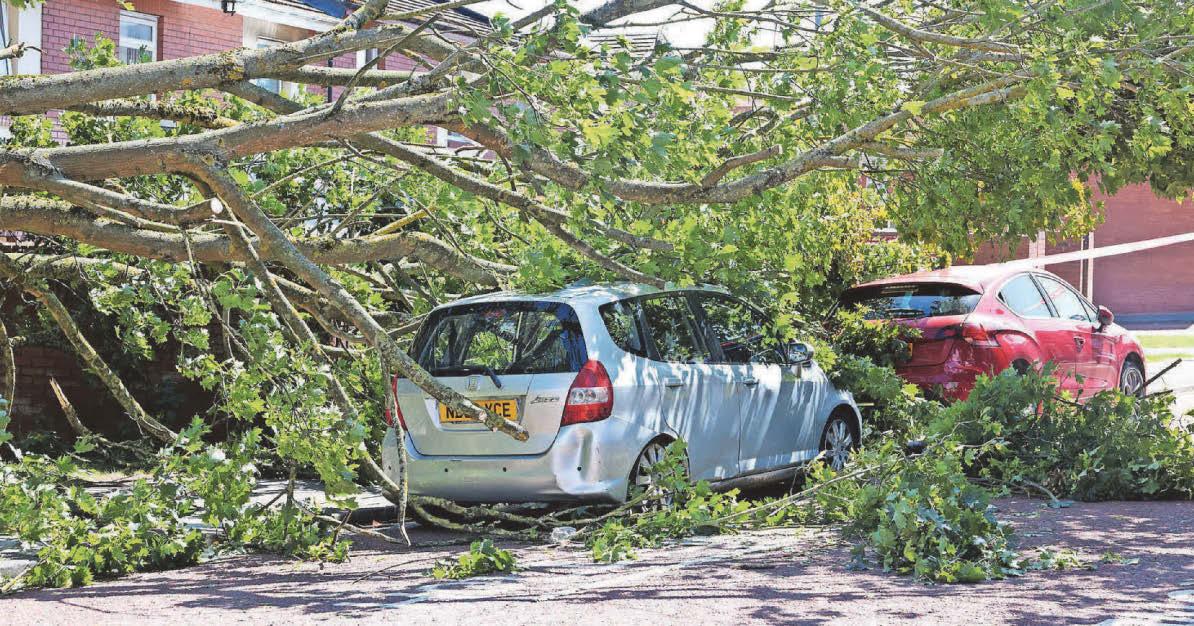 Clean-up continues after Storm Floris