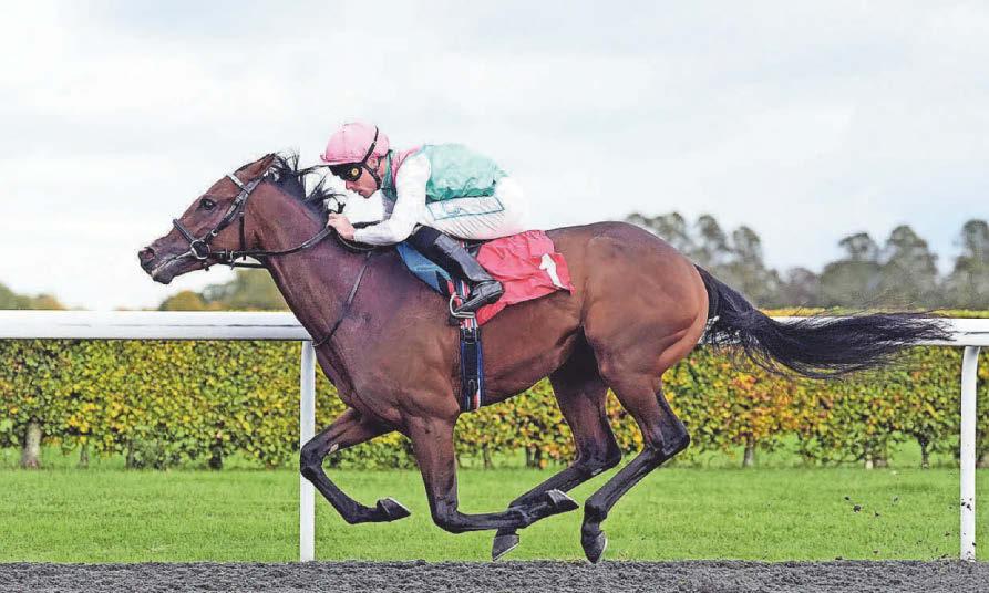 Detain set to bloom in the Rose Of Lancaster Stakes