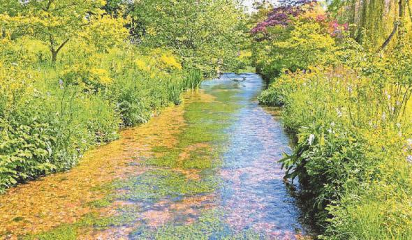 Warning over 'decade of decline' for rare chalk stream in England