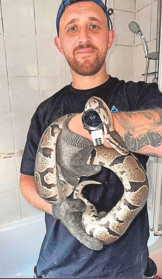 Snakes alive! Man finds reptile in his bathroom