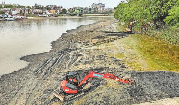 Project to remove 'wet wipe island' from Thames complete