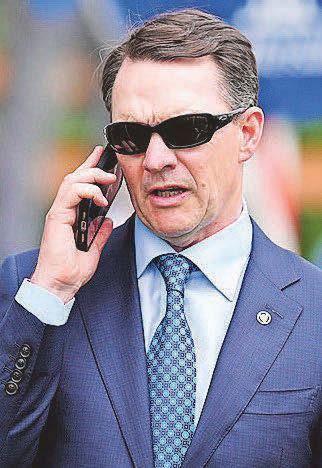Fitting tribute to superstar as unraced son wins debut