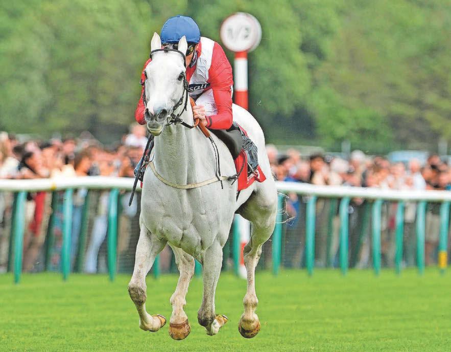 Late setback scuppers Estrange's Challenge For Qatar Prix de L’arc