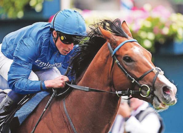 Ombudsman has look of Champion