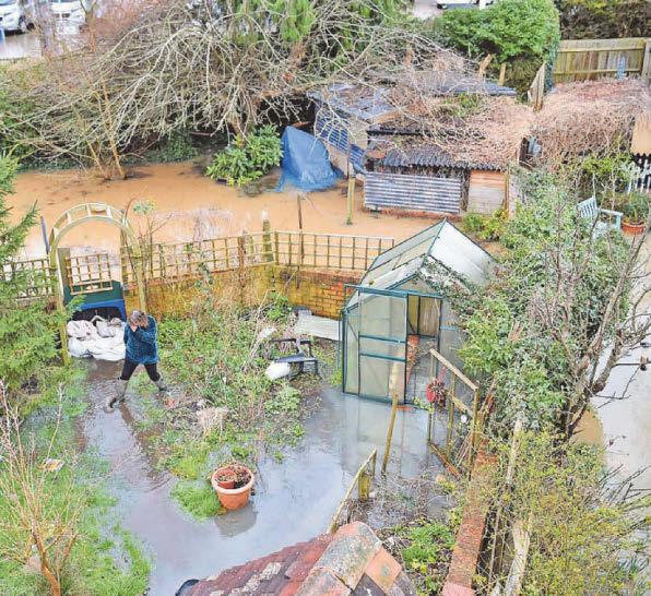 Gardeners urged to pick the right plants to help combat flooding
