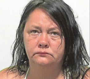 Owner of danger dog which bit man avoids jail