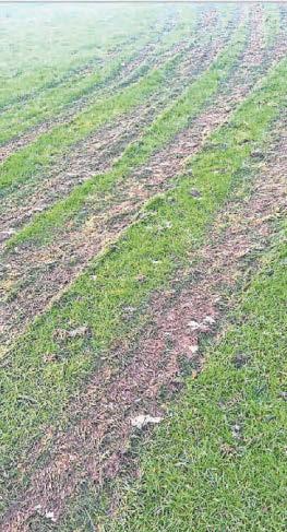 Community football club pitch is left unplayable