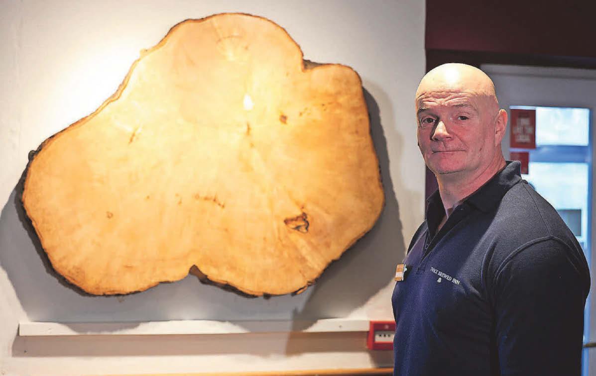 Pub toasts unveiling of Gap tree trunk 'slice'