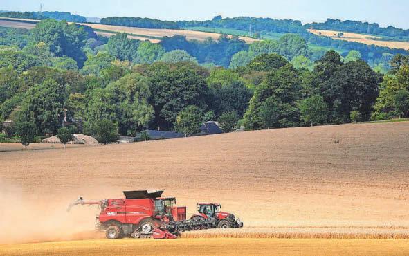Review says new deal is needed for 'bewildered' farming sector