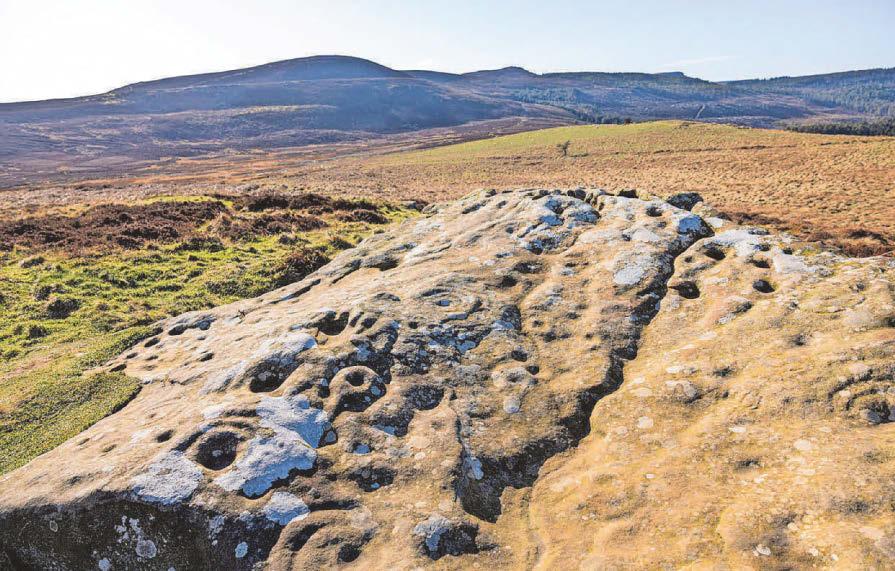 Bid to buy vast estate for nature celebrates £10million milestone