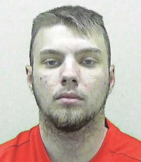 Sex attacker violently tried to rape stranger
