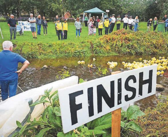 Sunshine Fund going quackers for historic event