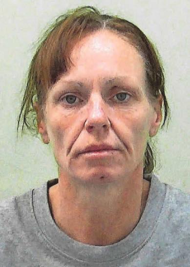 Man, 81, terrorised and robbed in his own home