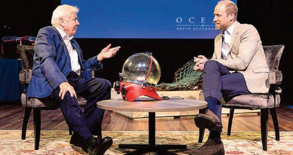 'What we've done to the deep ocean floor is unspeakably awful'