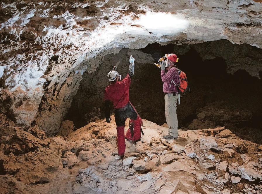 Scientists uncover evidence of Arabian desert's greener past