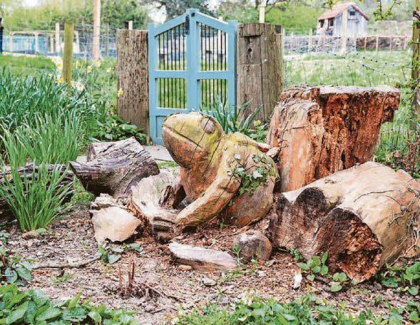 Toad sculpture is given new home at listed hall
