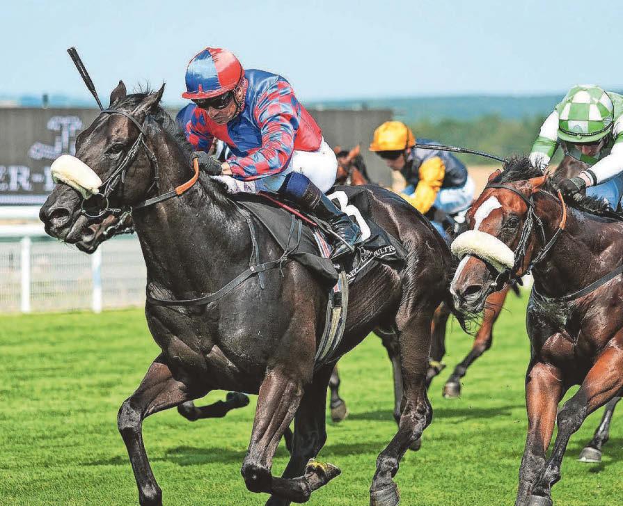 Big Mojo can land a July Cup shock at Newmarket