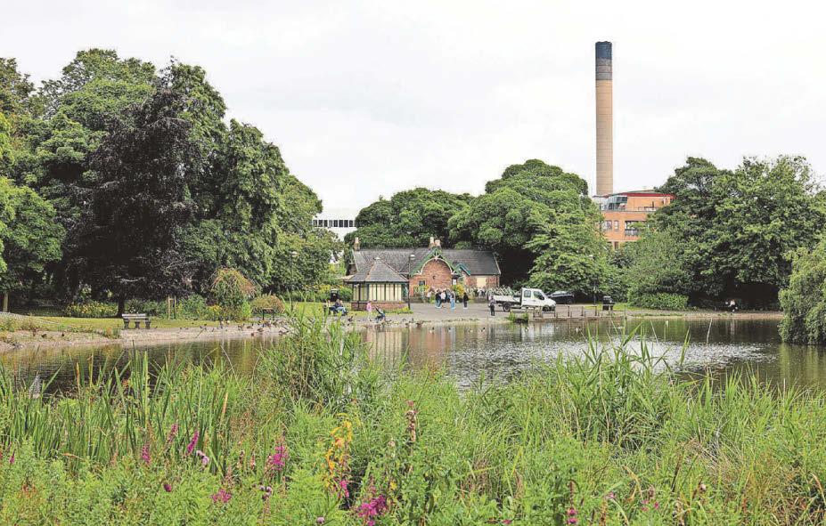 Two city parks set to fly green flags once more