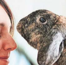 A warning shot on rabbit virus