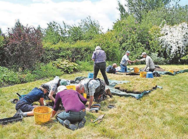 Archaeology project to begin in town's gardens