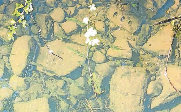 Solar water sensor in garden part of £51m data project