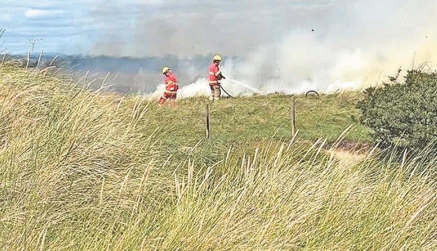 'Don't litter, don't light fires and don't illegally camp'