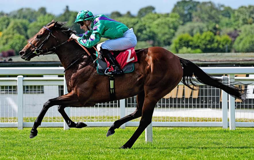 Prague can secure Robin Hood riches