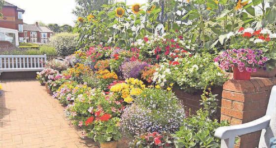 Marek's garden just so Bloomin' Marvellous for all