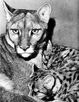 Youngsters' special day out at the zoo