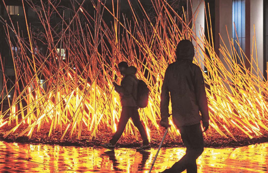 Illuminated flowers bloom as last Lumiere lights up