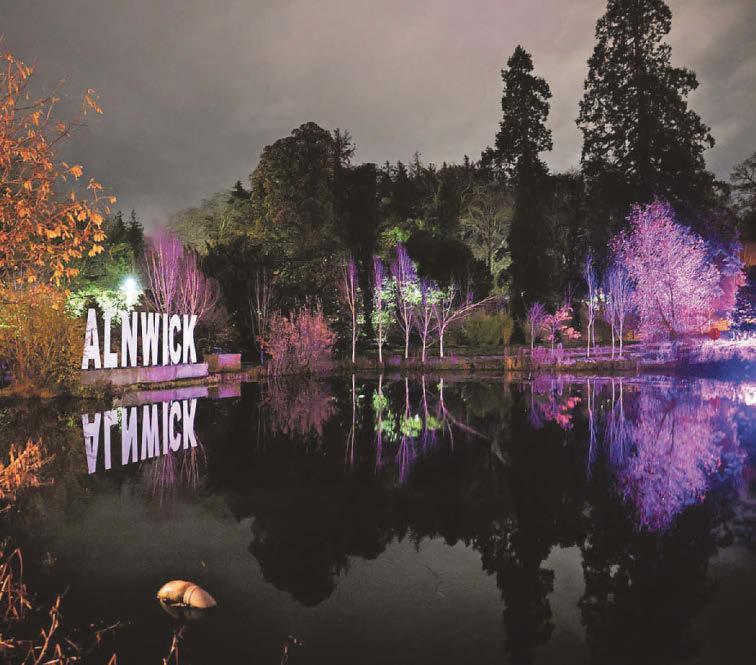 Garden light trail is ready to welcome you to its wonders